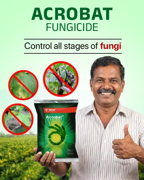 Man holding Acrobat Fungicide used to control fungal diseases at all stages