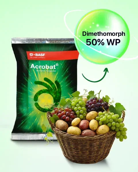 Image showing Dimethomorph 50% WP as technical content in Acrobat Fungicide