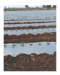 AGRI RISE SILVER/BLACK MULCH FILM