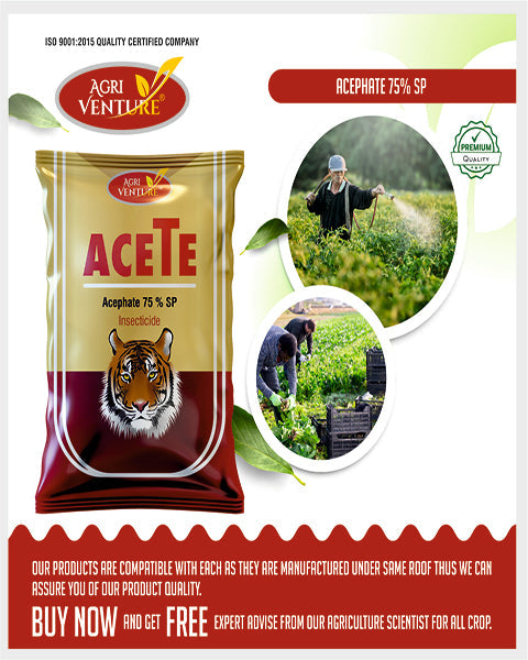 AGRIVENTURE ACETE