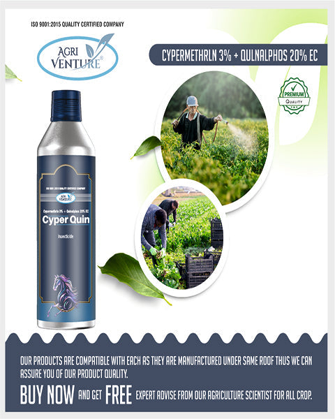 AgriVenture CYPER QUIN (CYPERMETHRIN 3% + QUANIALPHOS 20%) Insecticides
