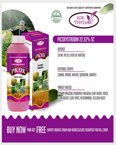 AgriVenture PICOX (Picoxystrobin 22.52% SC) Fungicides