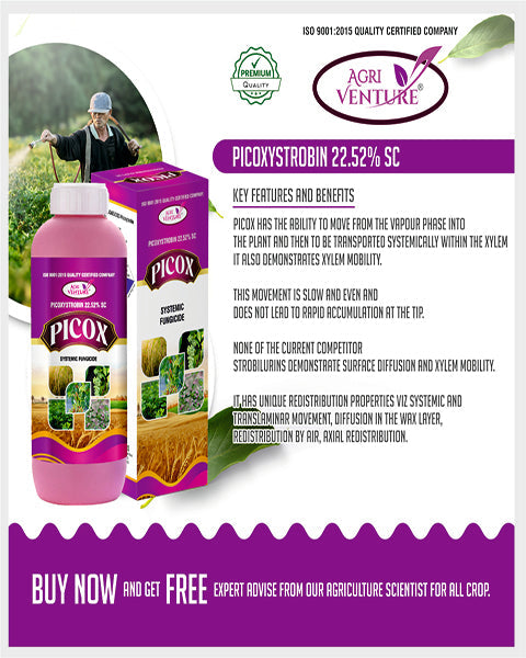 AgriVenture PICOX (Picoxystrobin 22.52% SC) Fungicides