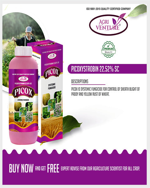AgriVenture PICOX (Picoxystrobin 22.52% SC) Fungicides