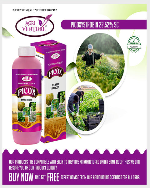 AgriVenture PICOX (Picoxystrobin 22.52% SC) Fungicides