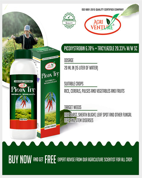 AgriVenture PICOX TRY (Picoxystrobin 6.78% + Tricyclazole 20.33% SC) Fungicides