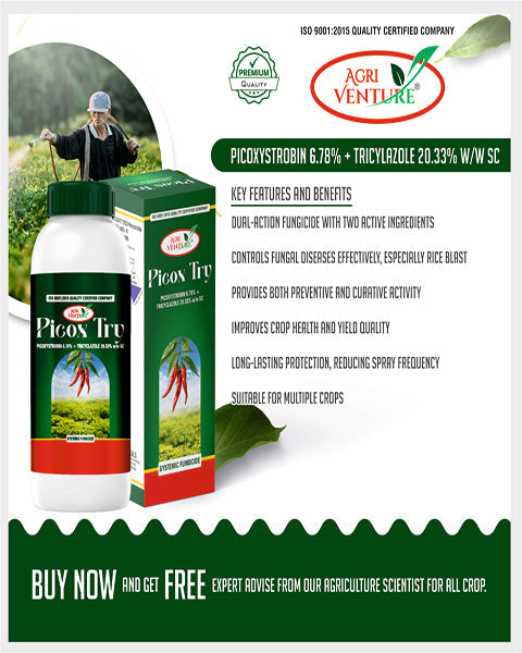 AgriVenture PICOX TRY (Picoxystrobin 6.78% + Tricyclazole 20.33% SC) Fungicides