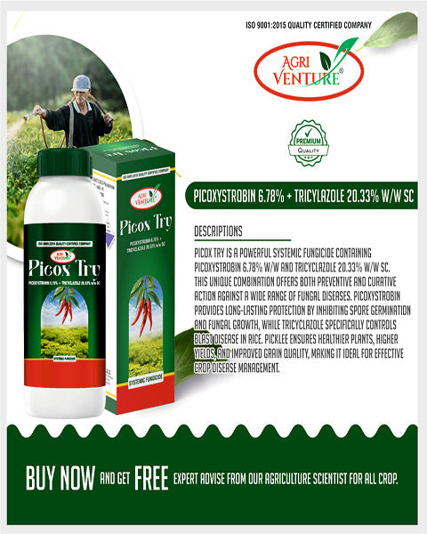 AgriVenture PICOX TRY (Picoxystrobin 6.78% + Tricyclazole 20.33% SC) Fungicides