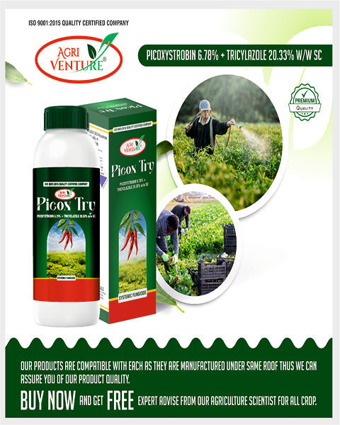 AgriVenture PICOX TRY (Picoxystrobin 6.78% + Tricyclazole 20.33% SC) Fungicides