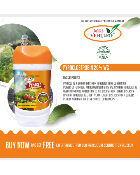 AgriVenture PYRACLO (Pyraclostrobin 20% WG) Fungicides