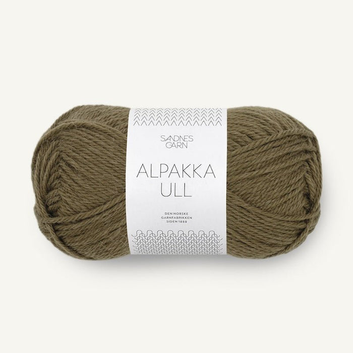 9873 - Dark Olive