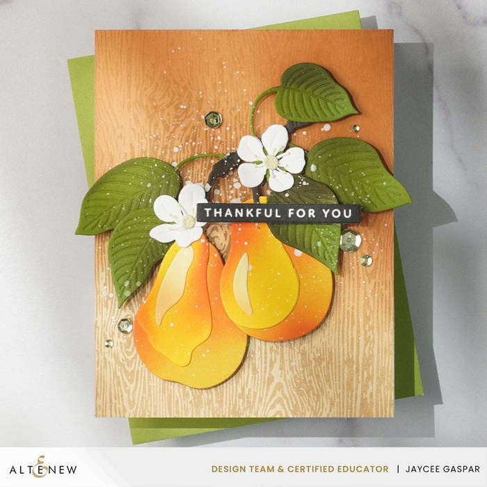 Altenew - One-Go: Solid Sentiment Strips 3 Press Plate (Gratitude Edition)