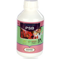 ANAND AGRO DR BACTO'S PSB (BIO FERTILIZER)
