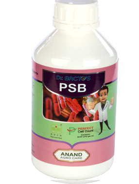 ANAND AGRO DR BACTO'S PSB (BIO FERTILIZER)