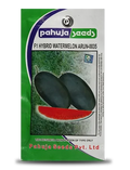 ARUN 0035 WATERMELON ( अरूण तरबूज )