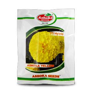 Ashoka Seeds F1 Hybrid Ashoka Yellow marigold seed packet featuring a large, vibrant yellow marigold flower blossom.