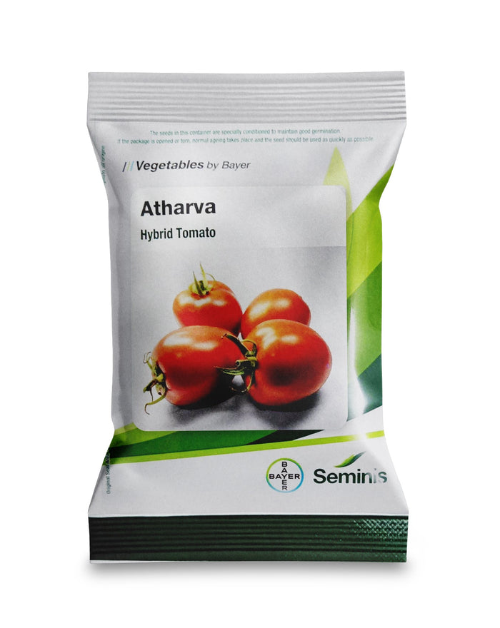 Packet of Seminis Atharva hybrid Tomato seeds