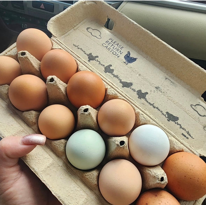 Atlantic Farms - Farm Fresh Eggs