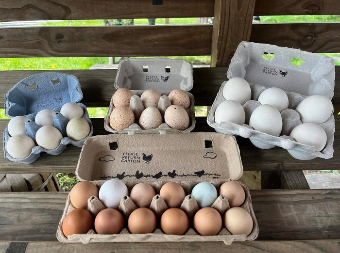Atlantic Farms - Farm Fresh Eggs