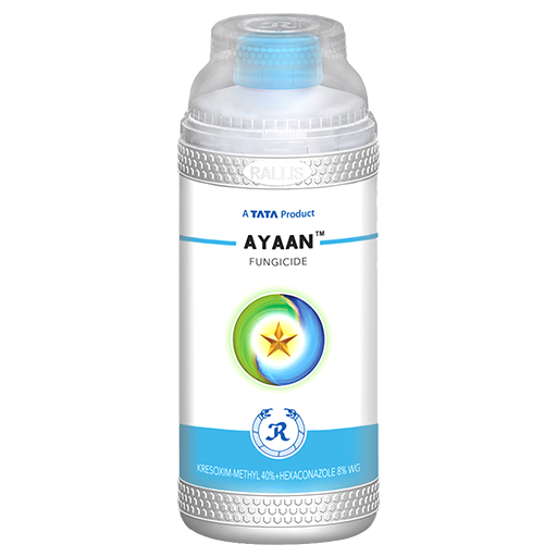 Tata Ayaan fungicide for paddy disease management in rice crops