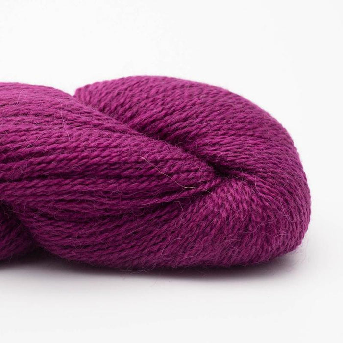 40 - Plum