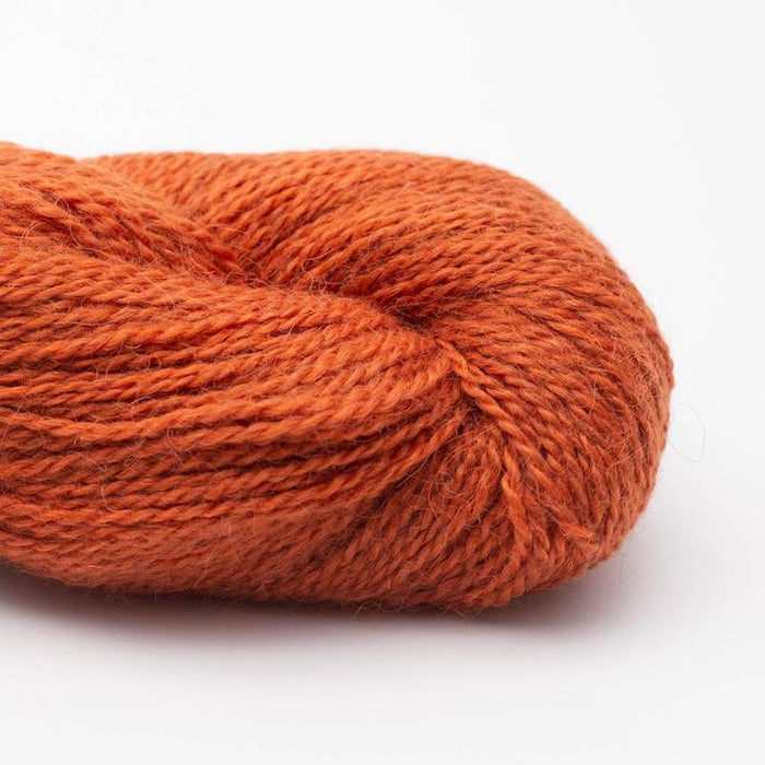 38 - Rusty Red