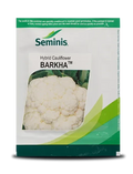 BARKHA CAULIFLOWER