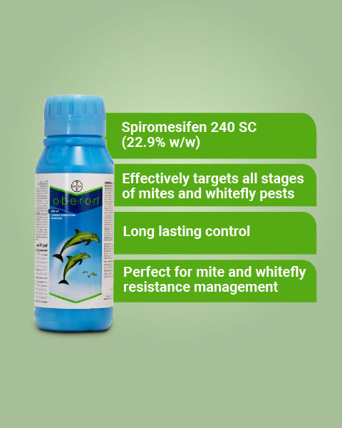 Oberon insecticide bottle with spiromesifen 240 SC, long-lasting control of mites and whiteflies for resistance management.