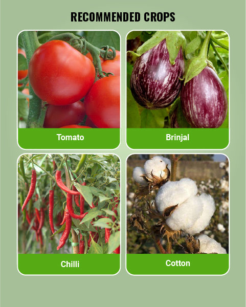Recommended crops image showing tomato, brinjal, chilli and cotton plants for pest control application.