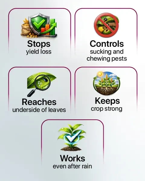Benevia Insecticide is used for controlling sucking and chewing pest and preventing yield loss
