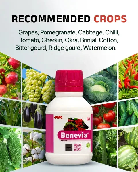 Benevia Insecticide is suitable for grapes, pomegranate, cabbage, chilli, and various other crops