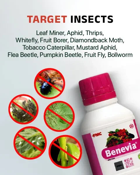 Image showing target pests of Benevia Insecticide like flea beetle, whiteflies, and more