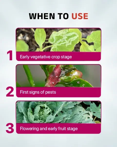 Image guiding on when to apply Benevia Insecticide