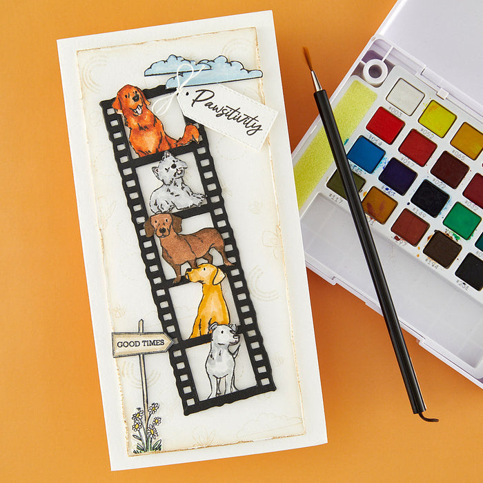 Beyond Stamping Pawsitivity #1 Clear Stamp Set by Josh Griffiths Studio