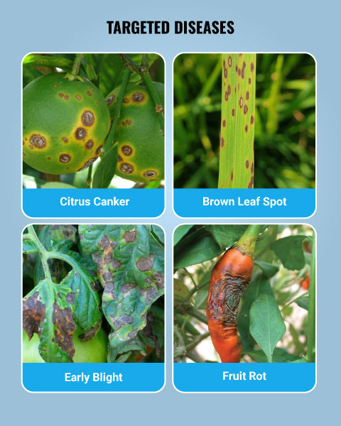Image showing targeted disease which blitox fungicides works