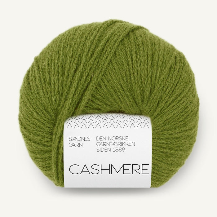 9564 - Matcha