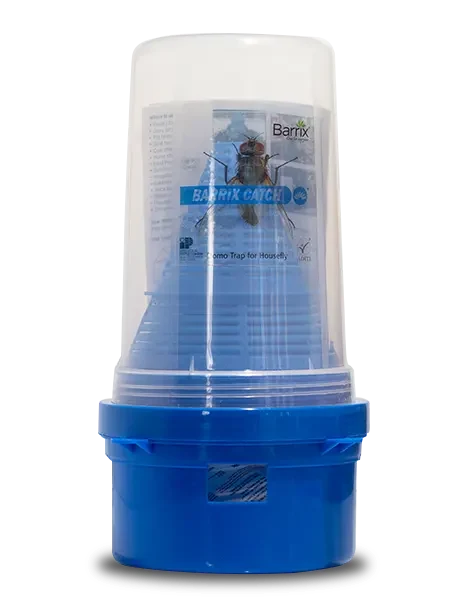 CATCH HOUSEFLY DOMO TRAP SET