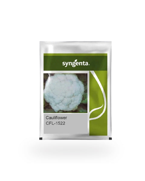 Syngenta CFL 1522 Cauliflower Seed packet.