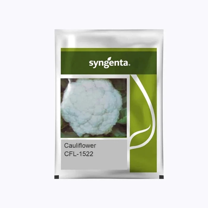 Syngenta CFL 1522 Cauliflower Seed packet.