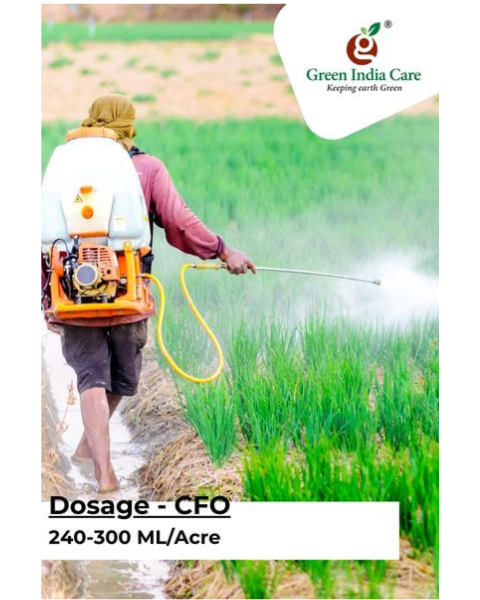 CFO Fungicide