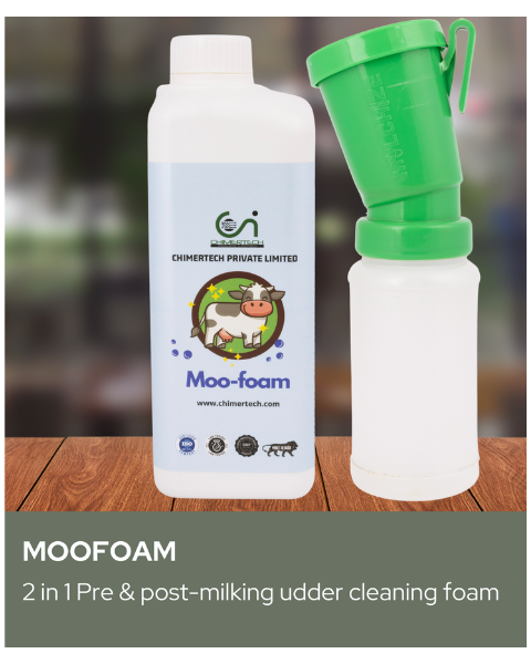 CHIMER MOOFOAM-FOAM BASED UDDER WASHING SOLUTION FOR CATTLE
