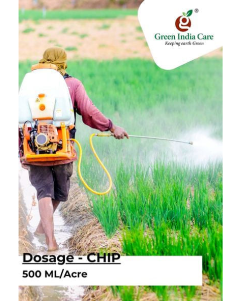 CHIP Insecticide