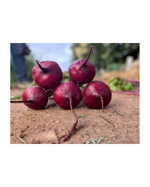 Crystal Beetroot Seeds