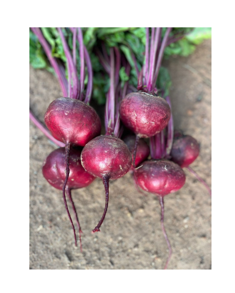 Crystal Beetroot Seeds