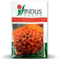 DEEP ORANGE MARIGOLD