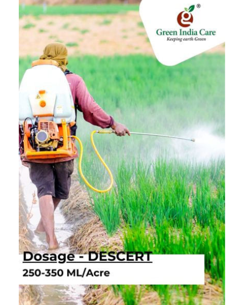 DESCERT Insecticide