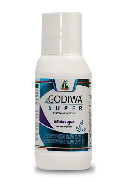 Dhanuka Godiwa Super Systemic Fungicide bottle containing Azoxystrobin 18.2% w/w and Difenoconazole 11.4% w/w SC.