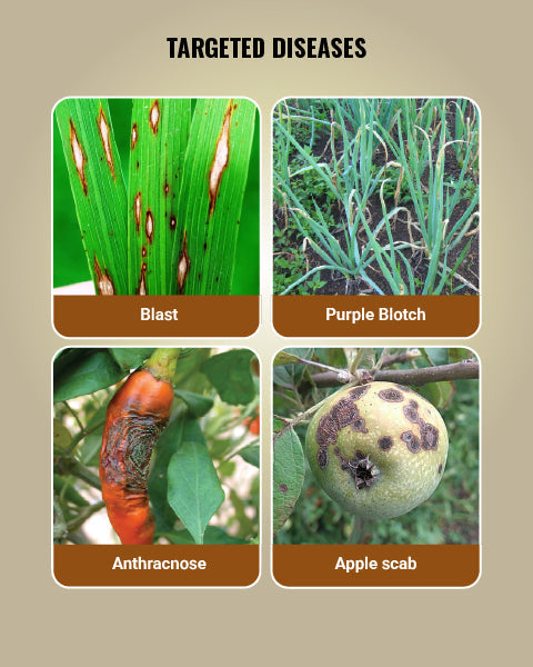 Spectrum Fungicide