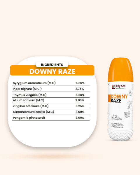 Downy Raze (Bio Fungicide) – For Effective Downy Mildew Control