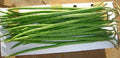 DRUM STICK